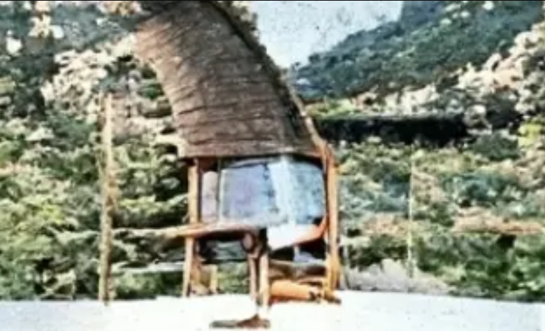 arched cabin